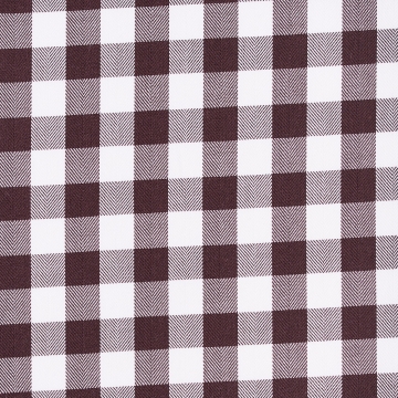 Shirt - Twill - brown/white - checked