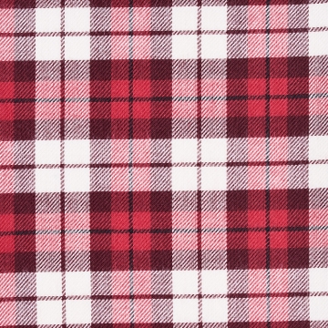 Shirt - Twill - red - checked