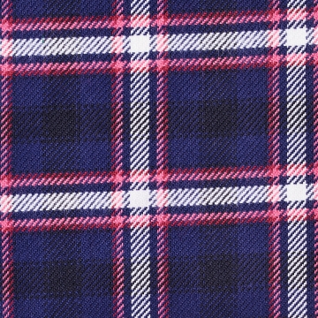 Shirt - Flannel - blue/red - checked