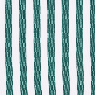 Shirt - Twill - white/green - striped
